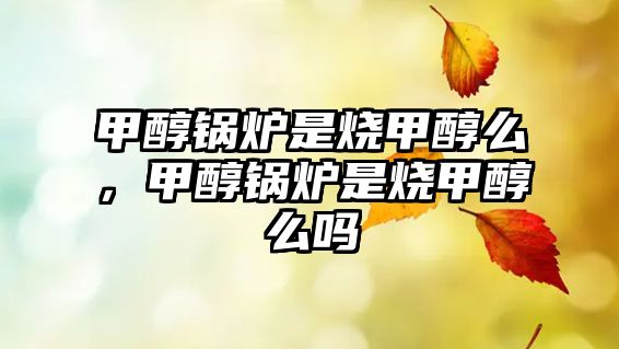 甲醇鍋爐是燒甲醇么，甲醇鍋爐是燒甲醇么嗎