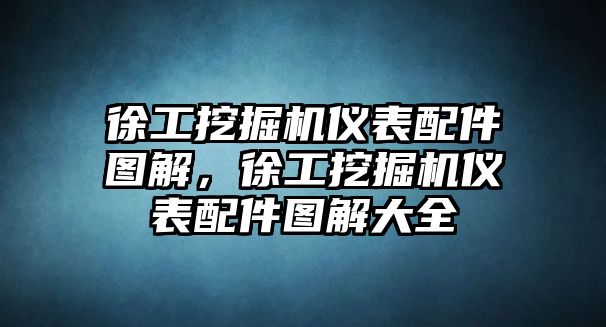 徐工挖掘機(jī)儀表配件圖解，徐工挖掘機(jī)儀表配件圖解大全