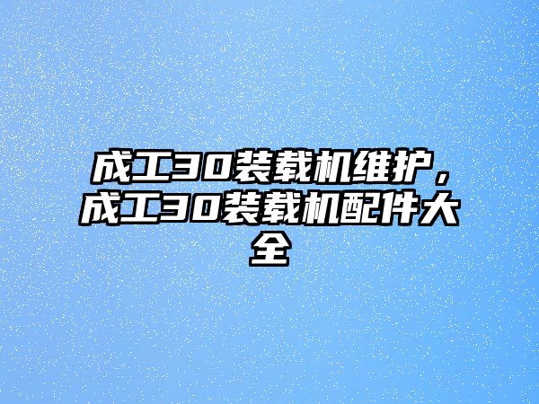 成工30裝載機維護，成工30裝載機配件大全