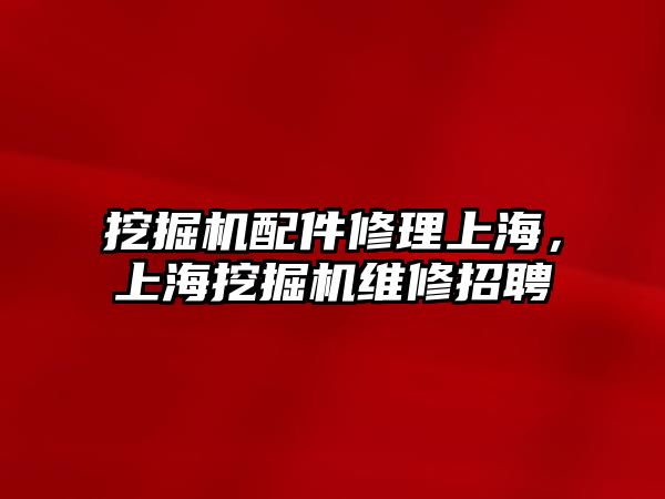 挖掘機配件修理上海，上海挖掘機維修招聘