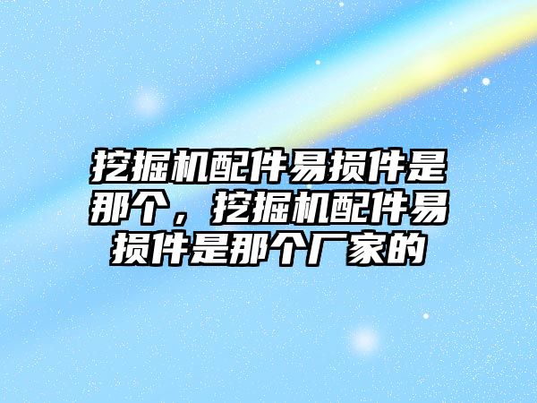 挖掘機配件易損件是那個，挖掘機配件易損件是那個廠家的