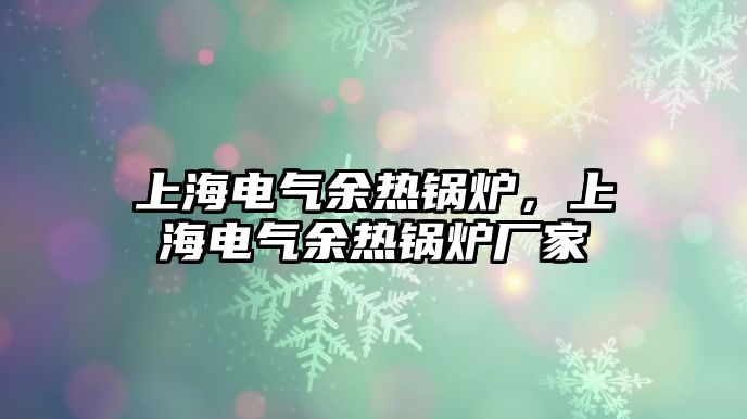 上海電氣余熱鍋爐，上海電氣余熱鍋爐廠家