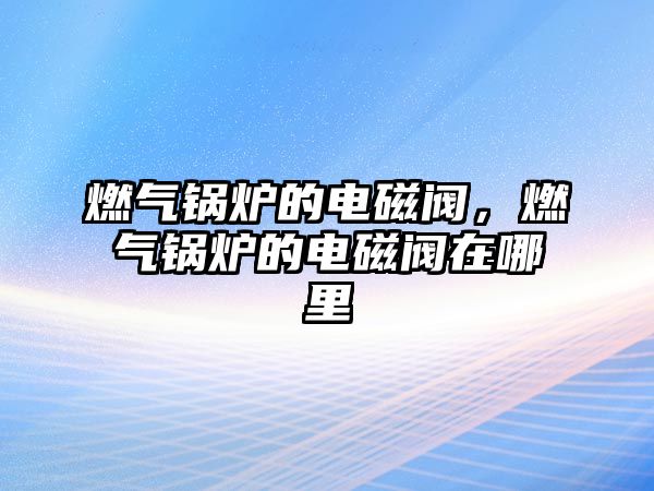 燃?xì)忮仩t的電磁閥，燃?xì)忮仩t的電磁閥在哪里