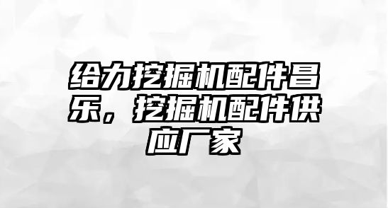 給力挖掘機配件昌樂，挖掘機配件供應廠家