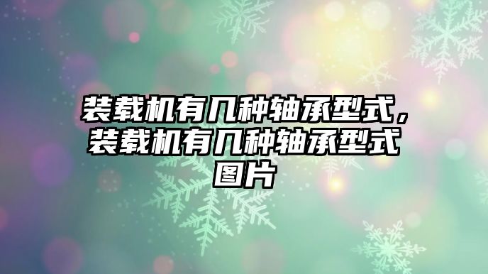 裝載機(jī)有幾種軸承型式，裝載機(jī)有幾種軸承型式圖片