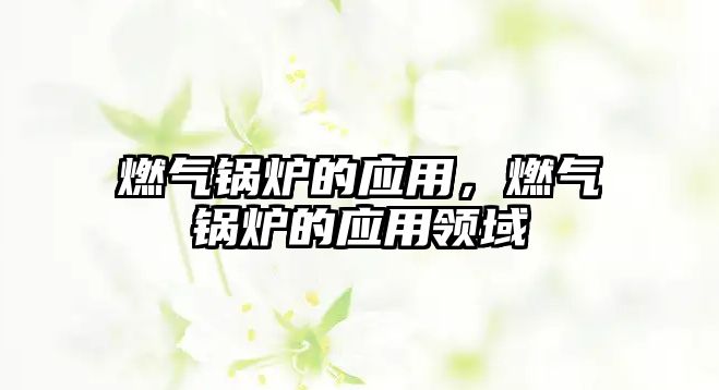 燃?xì)忮仩t的應(yīng)用，燃?xì)忮仩t的應(yīng)用領(lǐng)域