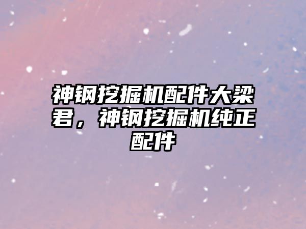 神鋼挖掘機配件大梁君，神鋼挖掘機純正配件