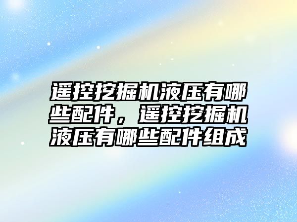 遙控挖掘機液壓有哪些配件，遙控挖掘機液壓有哪些配件組成