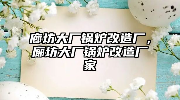 廊坊大廠鍋爐改造廠，廊坊大廠鍋爐改造廠家