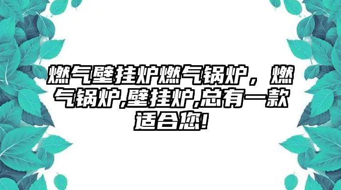 燃?xì)獗趻鞝t燃?xì)忮仩t，燃?xì)忮仩t,壁掛爐,總有一款適合您!