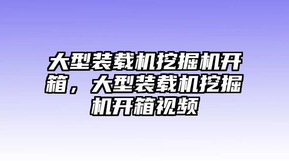 大型裝載機(jī)挖掘機(jī)開(kāi)箱，大型裝載機(jī)挖掘機(jī)開(kāi)箱視頻