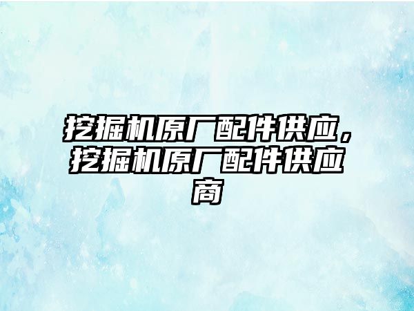 挖掘機原廠配件供應(yīng)，挖掘機原廠配件供應(yīng)商