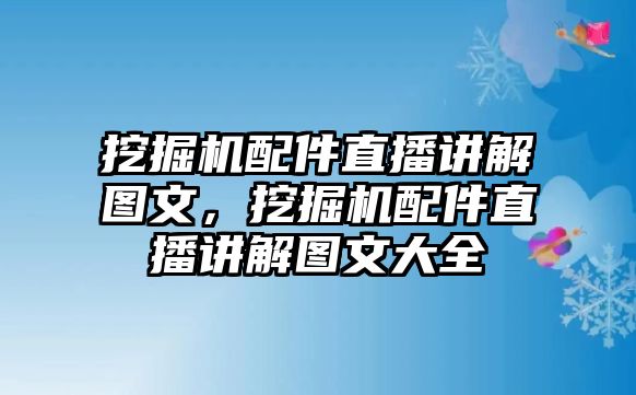 挖掘機(jī)配件直播講解圖文，挖掘機(jī)配件直播講解圖文大全