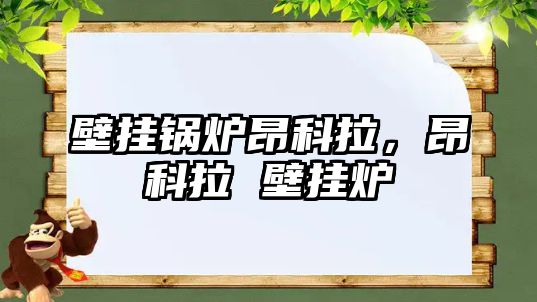 壁掛鍋爐昂科拉，昂科拉 壁掛爐