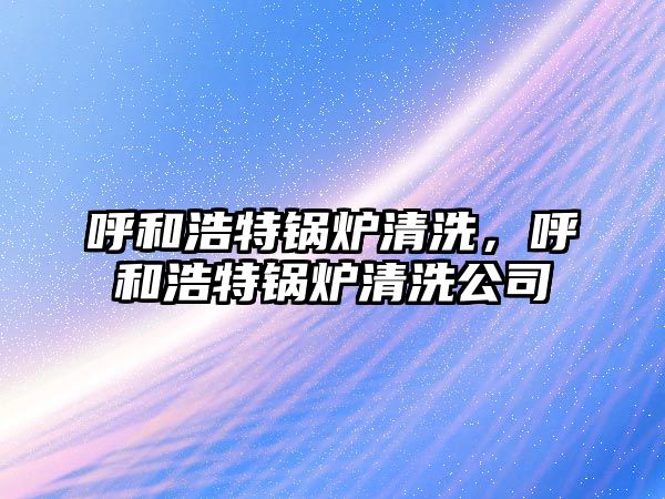 呼和浩特鍋爐清洗，呼和浩特鍋爐清洗公司