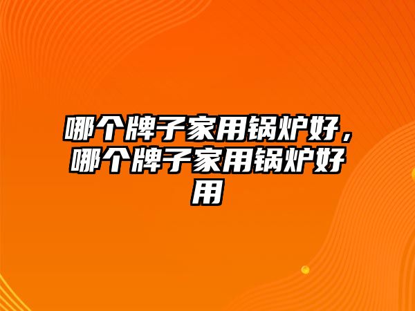 哪個(gè)牌子家用鍋爐好，哪個(gè)牌子家用鍋爐好用