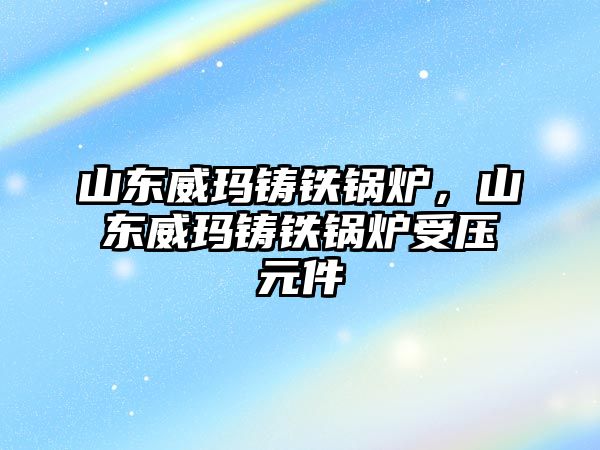 山東威瑪鑄鐵鍋爐，山東威瑪鑄鐵鍋爐受壓元件