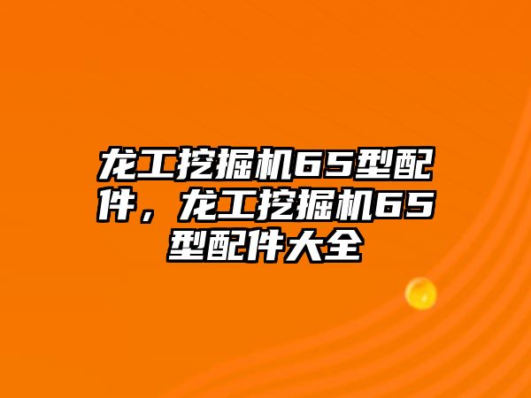 龍工挖掘機65型配件，龍工挖掘機65型配件大全