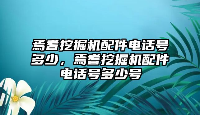 焉耆挖掘機配件電話號多少，焉耆挖掘機配件電話號多少號