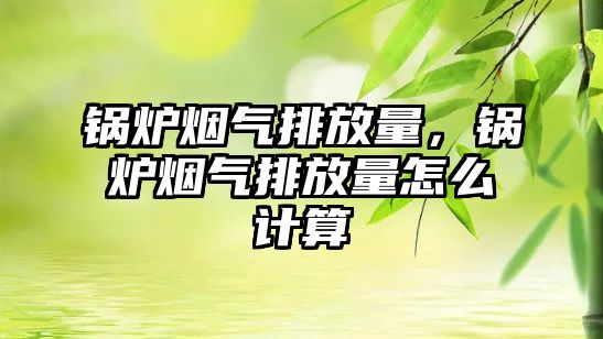 鍋爐煙氣排放量，鍋爐煙氣排放量怎么計算