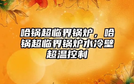 哈鍋超臨界鍋爐，哈鍋超臨界鍋爐水冷壁超溫控制