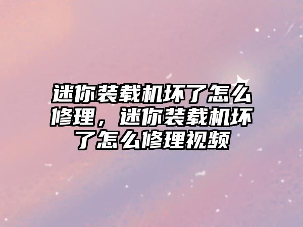 迷你裝載機壞了怎么修理，迷你裝載機壞了怎么修理視頻