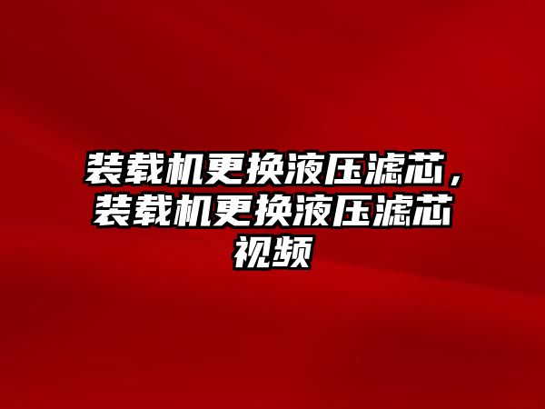 裝載機更換液壓濾芯，裝載機更換液壓濾芯視頻