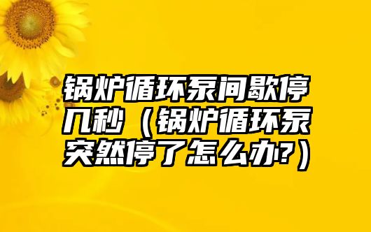 鍋爐循環(huán)泵間歇停幾秒（鍋爐循環(huán)泵突然停了怎么辦?）