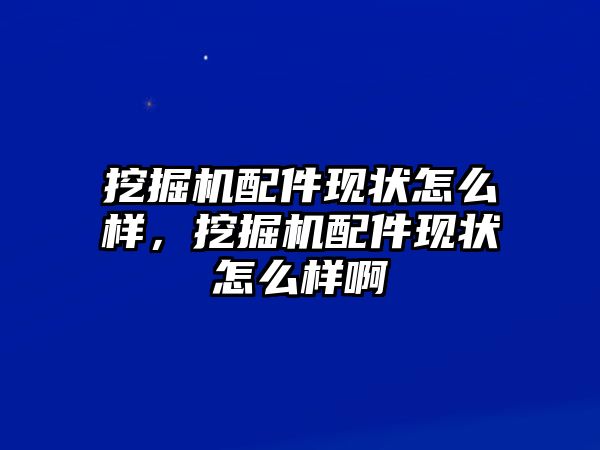 挖掘機配件現(xiàn)狀怎么樣，挖掘機配件現(xiàn)狀怎么樣啊