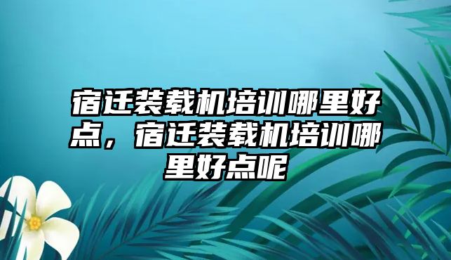 宿遷裝載機培訓哪里好點，宿遷裝載機培訓哪里好點呢