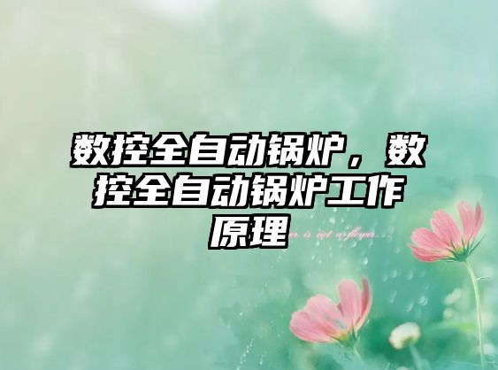 數(shù)控全自動鍋爐，數(shù)控全自動鍋爐工作原理