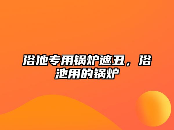 浴池專用鍋爐遮丑，浴池用的鍋爐