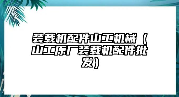 裝載機配件山工機械（山工原廠裝載機配件批發(fā)）