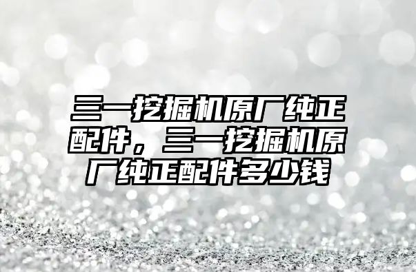 三一挖掘機(jī)原廠純正配件，三一挖掘機(jī)原廠純正配件多少錢(qián)