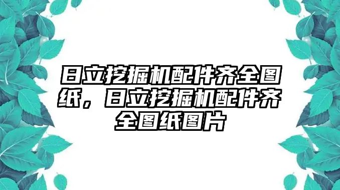 日立挖掘機配件齊全圖紙，日立挖掘機配件齊全圖紙圖片