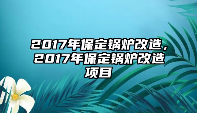 2017年保定鍋爐改造，2017年保定鍋爐改造項目