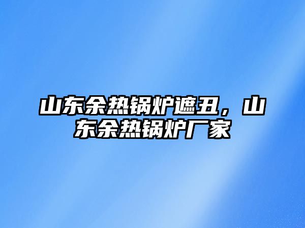 山東余熱鍋爐遮丑，山東余熱鍋爐廠家