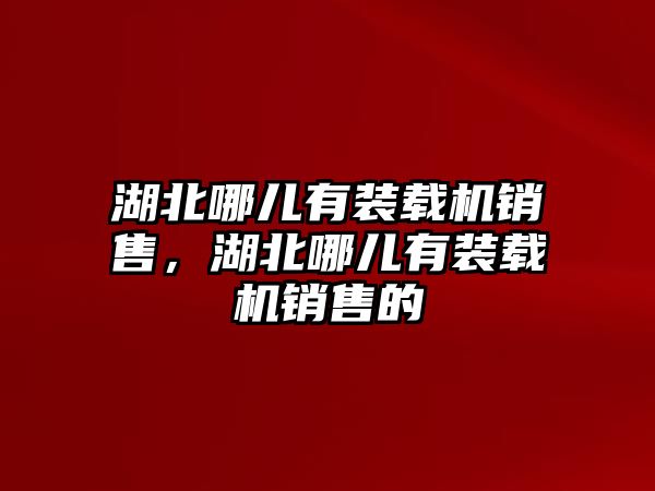 湖北哪兒有裝載機銷售，湖北哪兒有裝載機銷售的