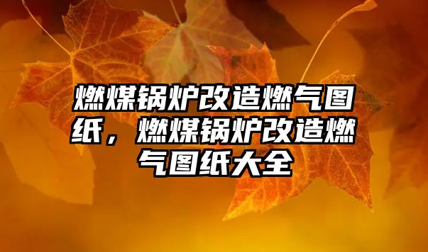 燃煤鍋爐改造燃?xì)鈭D紙，燃煤鍋爐改造燃?xì)鈭D紙大全