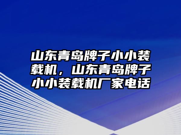 山東青島牌子小小裝載機，山東青島牌子小小裝載機廠家電話