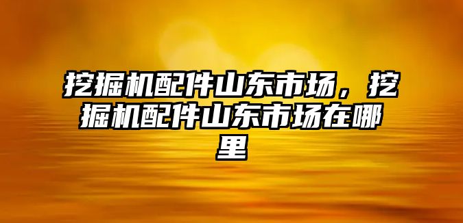 挖掘機配件山東市場，挖掘機配件山東市場在哪里