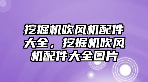 挖掘機吹風(fēng)機配件大全，挖掘機吹風(fēng)機配件大全圖片