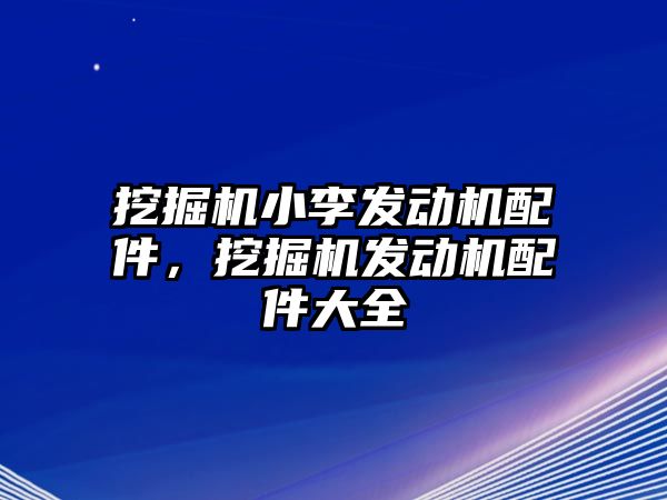 挖掘機小李發(fā)動機配件，挖掘機發(fā)動機配件大全