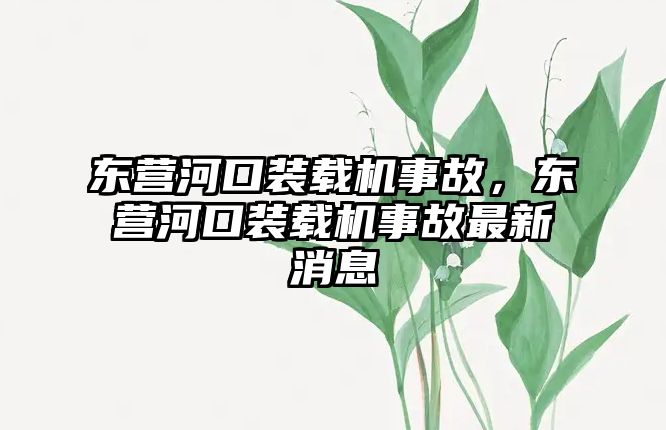 東營河口裝載機事故，東營河口裝載機事故最新消息