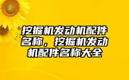 挖掘機發(fā)動機配件名稱，挖掘機發(fā)動機配件名稱大全