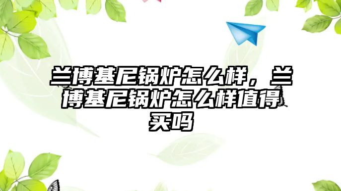 蘭博基尼鍋爐怎么樣，蘭博基尼鍋爐怎么樣值得買(mǎi)嗎