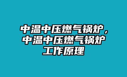 中溫中壓燃氣鍋爐，中溫中壓燃氣鍋爐工作原理