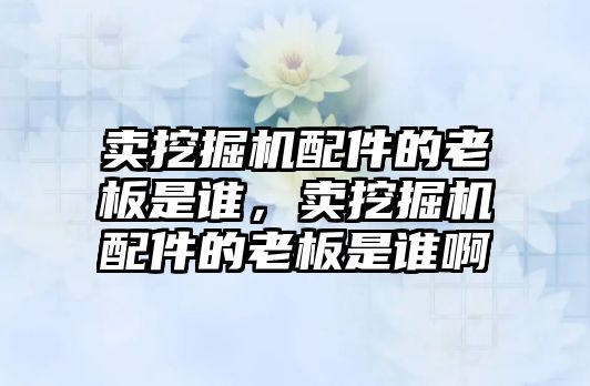 賣挖掘機配件的老板是誰，賣挖掘機配件的老板是誰啊