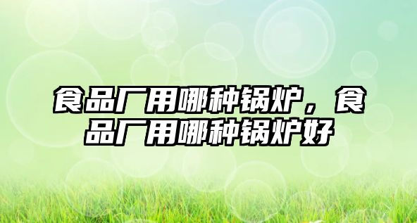 食品廠用哪種鍋爐，食品廠用哪種鍋爐好