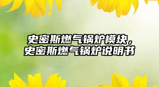 史密斯燃?xì)忮仩t模塊，史密斯燃?xì)忮仩t說明書